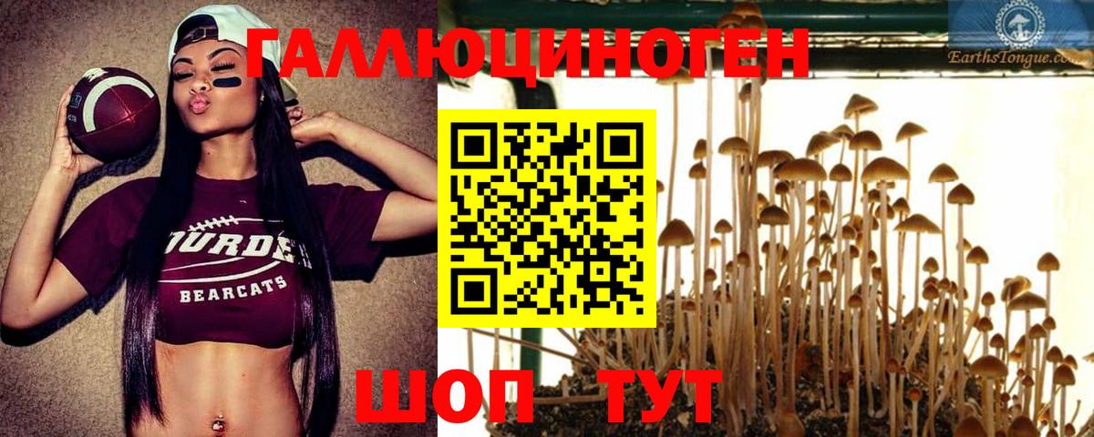 Галлюциногенные грибы Psilocybe Туймазы