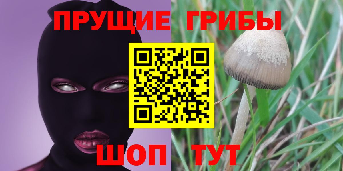 Галлюциногенные грибы Magic Shrooms  Галлюциногенные грибы GOLDEN TEACHER  Туймазы  Вход с VPN 